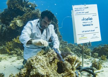 شح المياه والخطر على الأمن الغذائي يضرب منطقة الشرق الأوسط وشمال إفريقيا