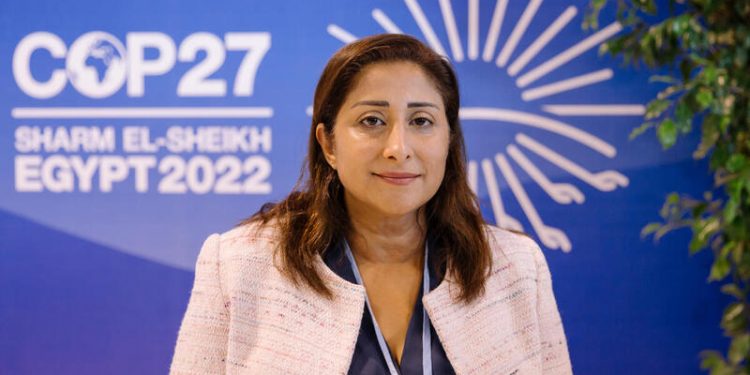 ممثل غرينبيس بالشرق الأوسط وشمال إفريقيا “لقد تم تهميش ممثلي الشعوب المتضررة خلال قمة المناخ COP27”