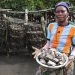 FISH4ACP من أجل استدامة اجتماعية وبيئية واقتصادية لمصايد السمك