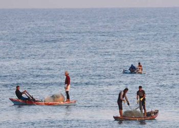 غزة: الاحتلال يمنع تصدير الأسماك ويفرض وضع كاميرات على ورش ترميم قوارب الصيد