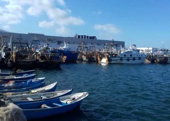 الناظور: مهنيو الصيد البحري متدمرون من قرار تقييد نشاط الصيد