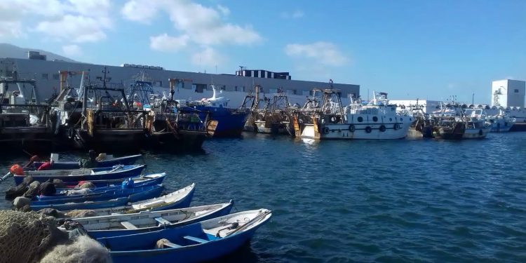 الناظور: مهنيو الصيد البحري متدمرون من قرار تقييد نشاط الصيد
