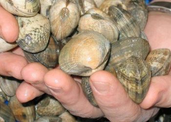 مجلس النواب يصادق على القراءة الثانية لقانون تربية الأحياء المائية البحرية