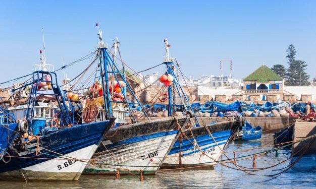الصويرة: بسبب التهاب أسعار المحروقات، أسطول الصيد الساحلي يعلن التوقف.