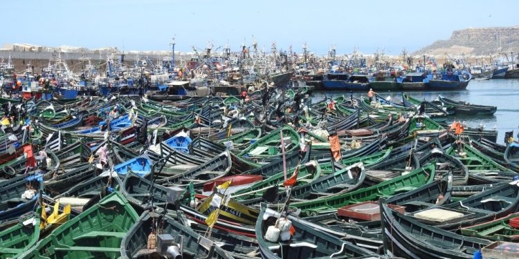 أسفي: ممثلو قطاع الصيد التقليدي يستنجدون بعامل الاقليم للإنصاف ضد ANP