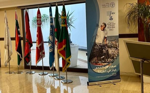 تونس:اختتام فعاليات السنة الدولية لمصايد الأسماك و تربية الأحياء المائية الحرفية في شمال أفريقيا