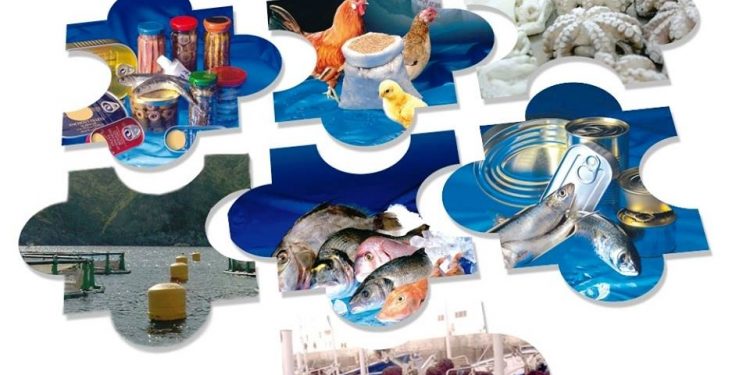 المغرب: صادرات المنتوجات البحرية تكسر الركود الإقتصادي و تحقق ايرادات بقيمة 28 مليار درهم.