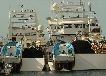 الحكومة الموريتانية تمكن 25 سفينة يابانية حق استغلال حصة التونة الحمراء