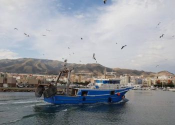 اسبانيا/الأندلس: مهنيو الصيد يطالبون بتدابير ملموسة في مواجهة تداعيات قرار تقليص فترة الصيد