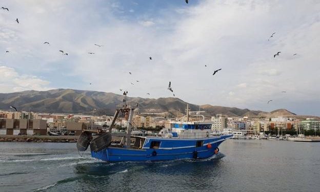 اسبانيا/الأندلس: مهنيو الصيد يطالبون بتدابير ملموسة في مواجهة تداعيات قرار تقليص فترة الصيد