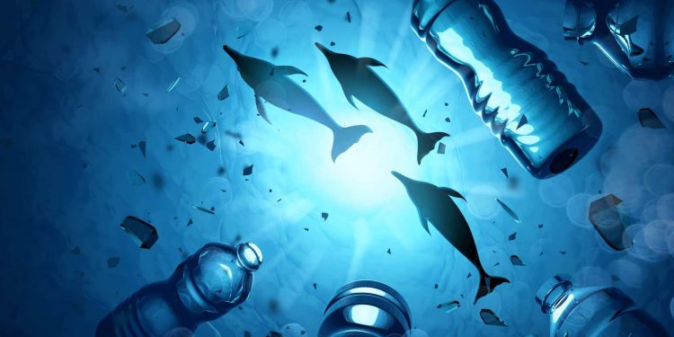 منظمة بيئية تطالب بتفعيل  مخرجات (COP15 بحماية 30%من المحطيات