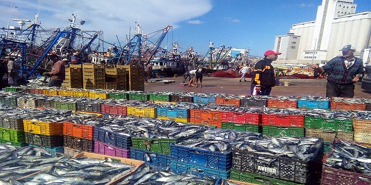 ميناء أسفي: ارتفاع المفرغات السمكية بنسبة 12 % عند متم نونبر 2022