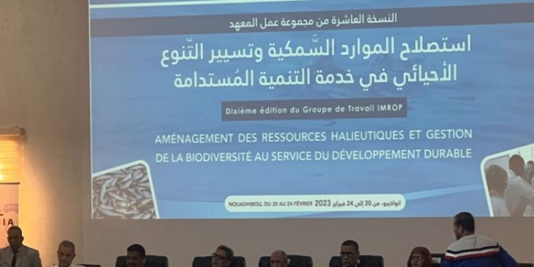 موريتانيا:“ استصلاح الموارد السمكية وتسيير التنوع الإحيائي في خدمة التنمية المستدامة” محور ندورة علمية.