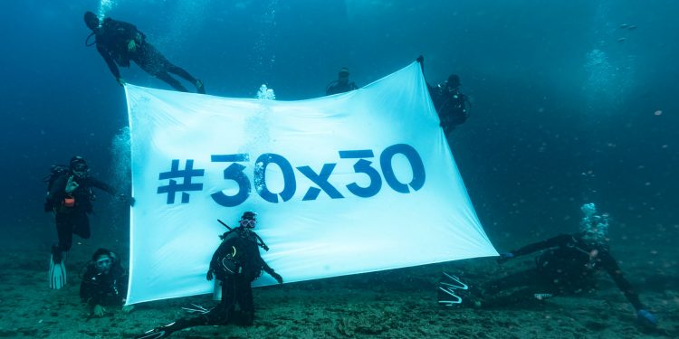 استئناف المفاوضات بخصوص حماية 30٪ من جميع المحيطات بحلول عام 2030.