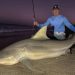 صياد يمسك بأكبر سمكة قرش