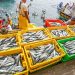 مشروع “Cabfishman” يكشف أهمية الصيد الحرفي و الثروة التي يولدها
