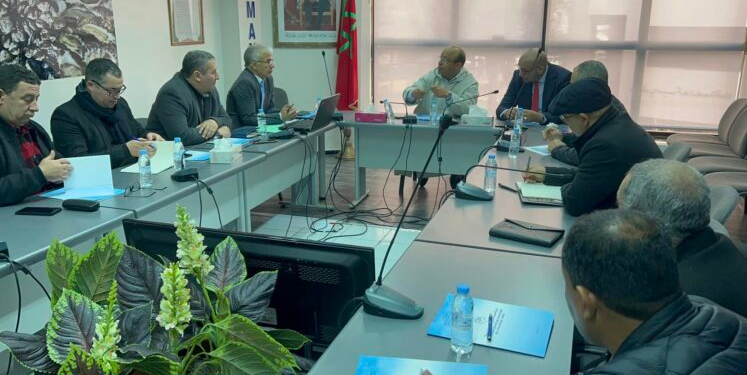 البوابة الجديدة “ضمان بحري” محور اجتماع بين غرفة الصيد البحري الأطلسية الشمالية وِCNSS