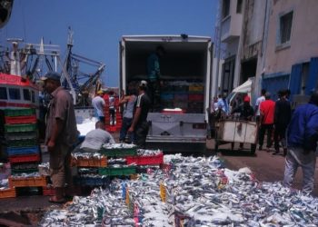 ميناء آسفي .. انخفاض مفرغات الصيد الساحلي والتقليدي بنسبة 35 بالمائة