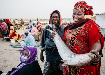 موريتانيا: وزير الصيد والاقتصاد البحري يشرف على توزيع 220 طنا من الأسماك على مواطنين بشكل مجاني