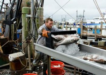 NOAA Fisheries الاميريكية تكشف عن خطة لتوسيع برنامج مراقبة استيراد المنتوجات البحرية