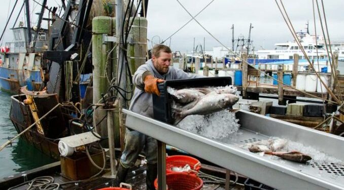 NOAA Fisheries الاميريكية تكشف عن خطة لتوسيع برنامج مراقبة استيراد المنتوجات البحرية