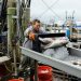 NOAA Fisheries الاميريكية تكشف عن خطة لتوسيع برنامج مراقبة استيراد المنتوجات البحرية