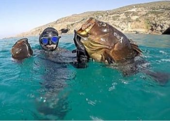 طنجة: بسبب الصيد الجائر قطاع الصيد البحري بغلق أربع مصايد لمدة سنة كاملة
