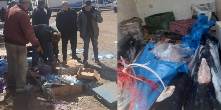الدارالبيضاء: تفشي نقط البيع العشوائي للسمك المجمد يسائل السلطات الترابية حول حماية المستهلك