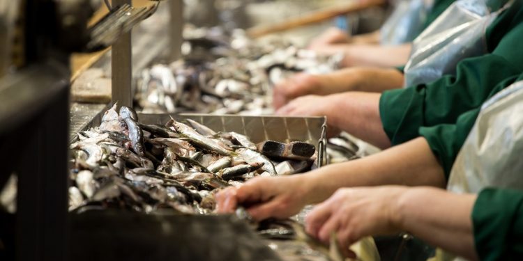 تقرير الأونكتاد2023 يدعو الى الاستثمار في قطاعات المحيطات الناشئة