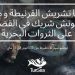 تونس: جمعية Tunsea تطلق حملة للحدّ من استهلاك الأخطبوط خارج فترات الصيد