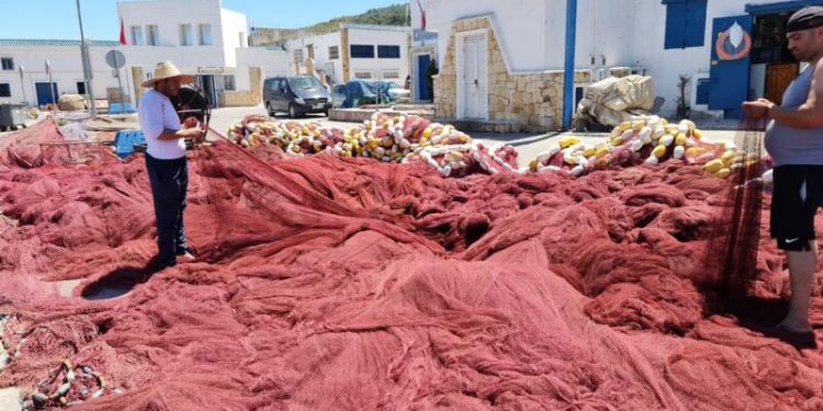 غرفة الصيد المتوسطية تطالب وزارة الصيد بتنفيذ التزاماتها عن هجمات النيكرو