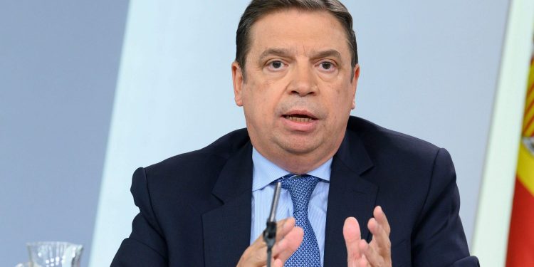 بلاناس : إسبانيا ستعمل على تحسين الرقابة على منتجات الصيد المستوردة خلال فترة الرئاسة الأوروبية