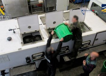 تعاون أمني يطيح بعصابة دولية لتهريب ثعبان السمك (Anguilla)