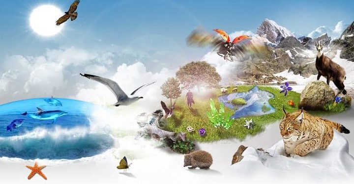 الأمين العام للأمم المحدة يوجه رسالة للمنتظم الدولي بمناسبة يوم التنوع البيولوجي