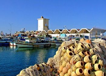 تونس: تراجع في ميزان التجارة الخارجية لمنتوجات الصيد البحري