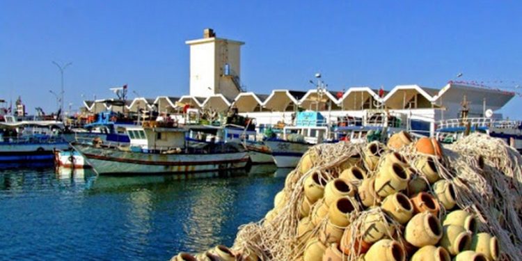 تونس: تراجع في ميزان التجارة الخارجية لمنتوجات الصيد البحري