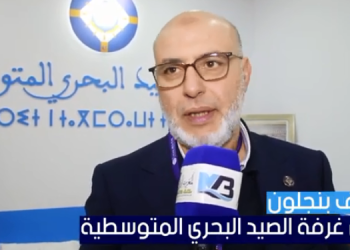 بنجلون: سياسة “التنطيق” تؤتى أكلها و ترفع قيمة سمك ابو سيف لمستوى قياسي.