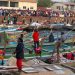 طنجة تحتضن تربصا دوليا لإعلام الصيد المستدام بأفريقيا