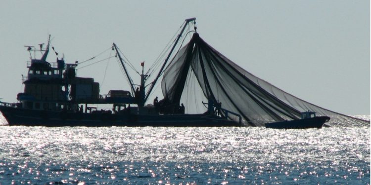 بلاغ الكنفدرالية المغربية لأرباب سفن و وحدات مصانع السمك السطحي “الصيد العرضي لا يندرج تحت إرادة الصياد”
