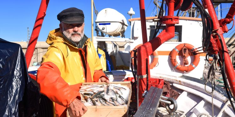 الحكومة الاسبانية ترصد302 ألف يورو لمساعدة الصيادين المتأثرين بتوقيف نشاط الصيد بالمياه المغربية