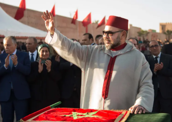 غرفة الصيد البحري الأطلسية الشمالية تجدد الولاء في عيد العرش المجيد