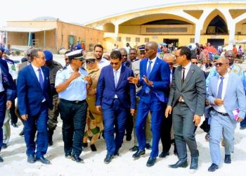 موريتانيا: وزير الصيد والاقتصاد البحري الجديد يتفقد سوق السمك بنواكشوط