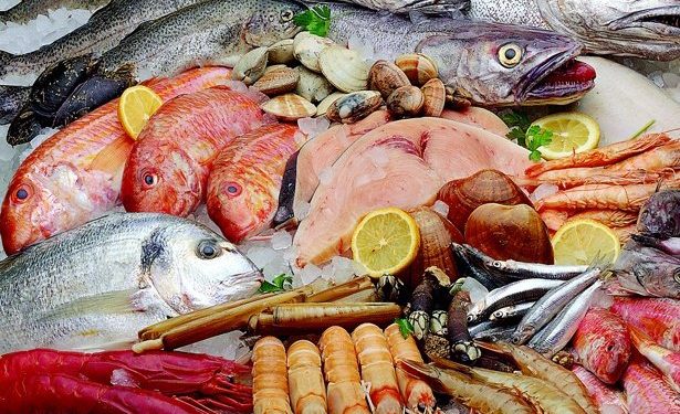 انخفاض كمية المفرغات بالدائرة البحرية لأسفي خلال الخمسة أشهر الأولى من سنة 2023