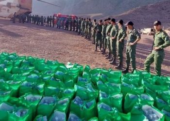 أسفي : مجموعة الطالكي للتصبير تساهم بدعم مالي و عيني لمنكوبي زلزال الحوز