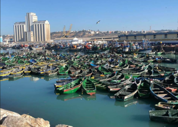أسفي: مهنيو الصيد البحري يدعون إلى تجاوز تداعيات التوقف الاضطراري