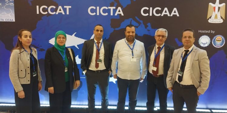 غرفرة الصيد المتوسطية تطالب برفع الحصة للحد من اجتياح التونة الحمراء