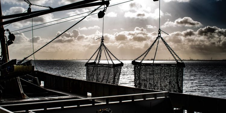 بروكسيل: موريتانيا و الاتحاد الاوربي يجتمعان لتباحث التقارير الدورية حول اتفاقية الصيد