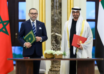 البروقراطية تتسبب في طرد استثمارات اماراتية بميناء طانطان.