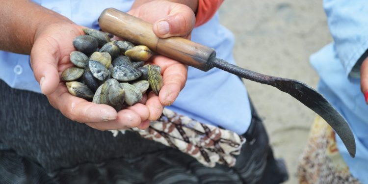 الى أجل غير مسمى،صدفيات رأس كبدانة – السعيدية تخضع للحجر الصحي