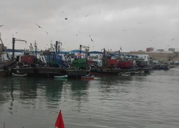 من أجل صيد مستدام، مؤسسة المغرب الأزرق تدعو الى تثبيت محمية بحرية مغلقة بمنطقة كاب درعة.